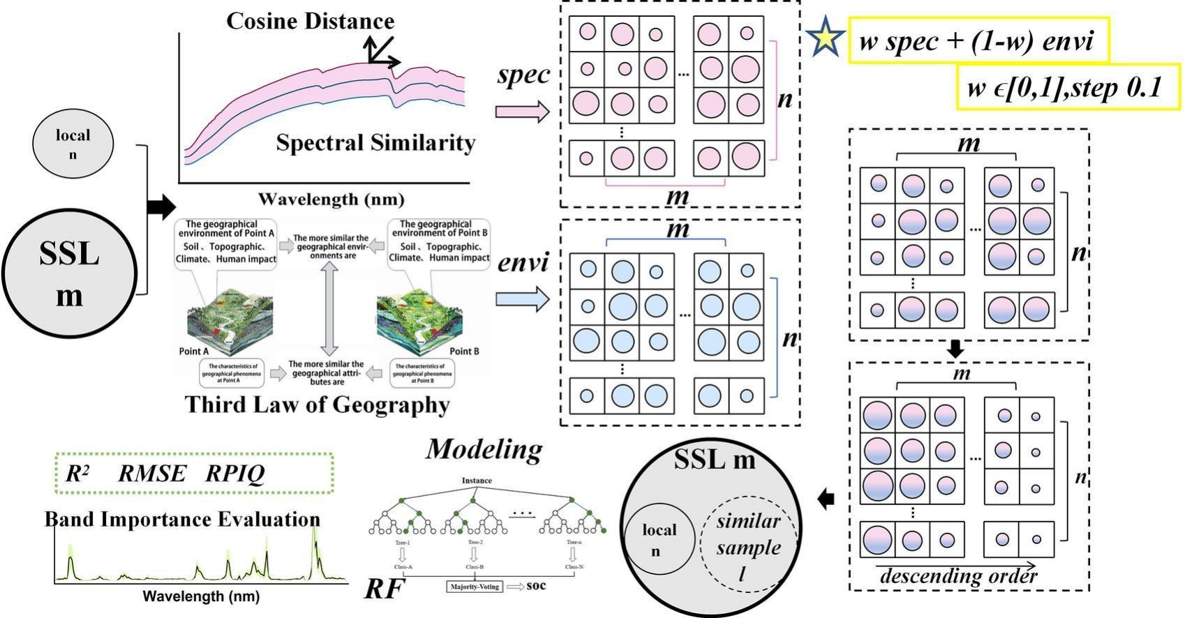 选择合适样本而非更多样本：一种用于局部土壤光谱建模的新型光谱—环境相似性策略